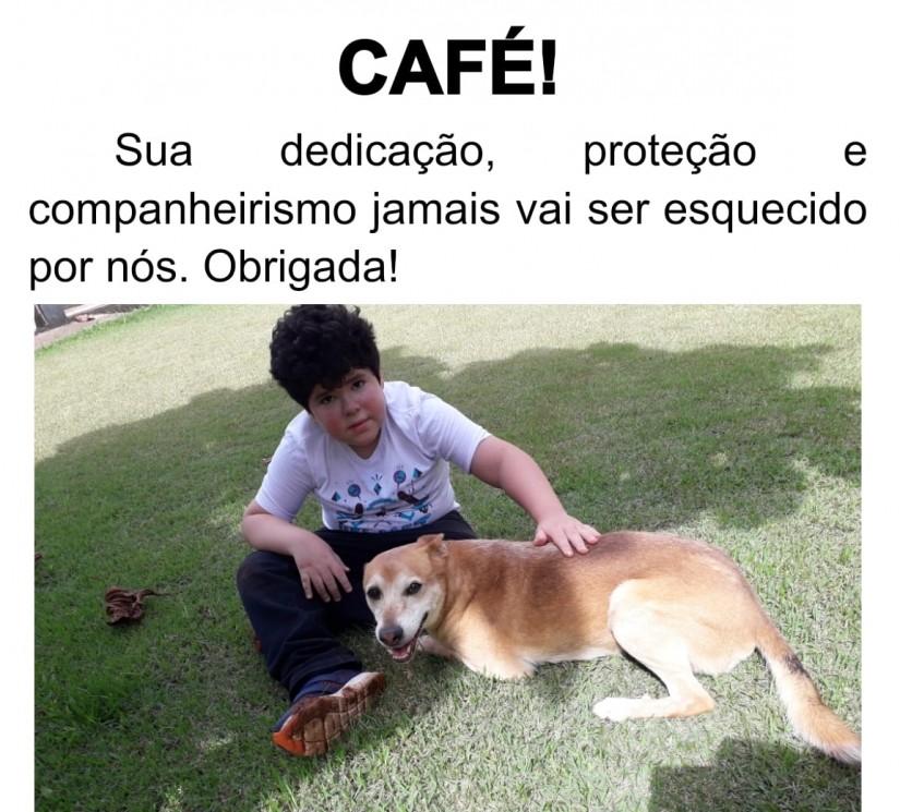 CAFÉ (Canino macho) Srd Pp C1