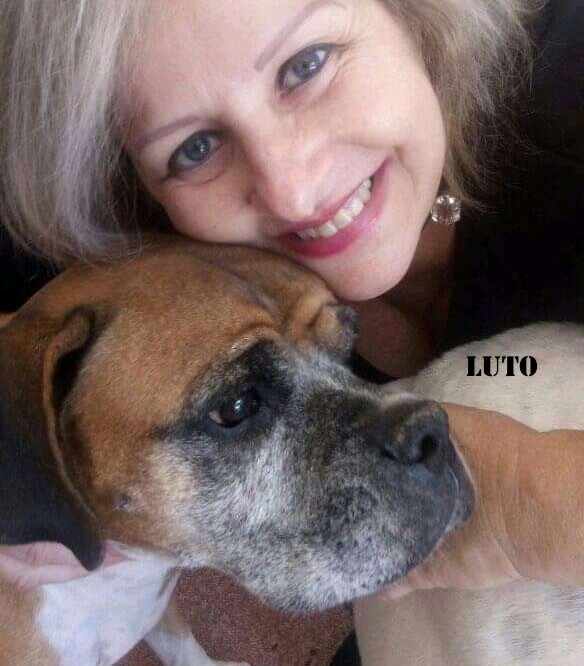GIGANTE (Canino macho) Boxer C2